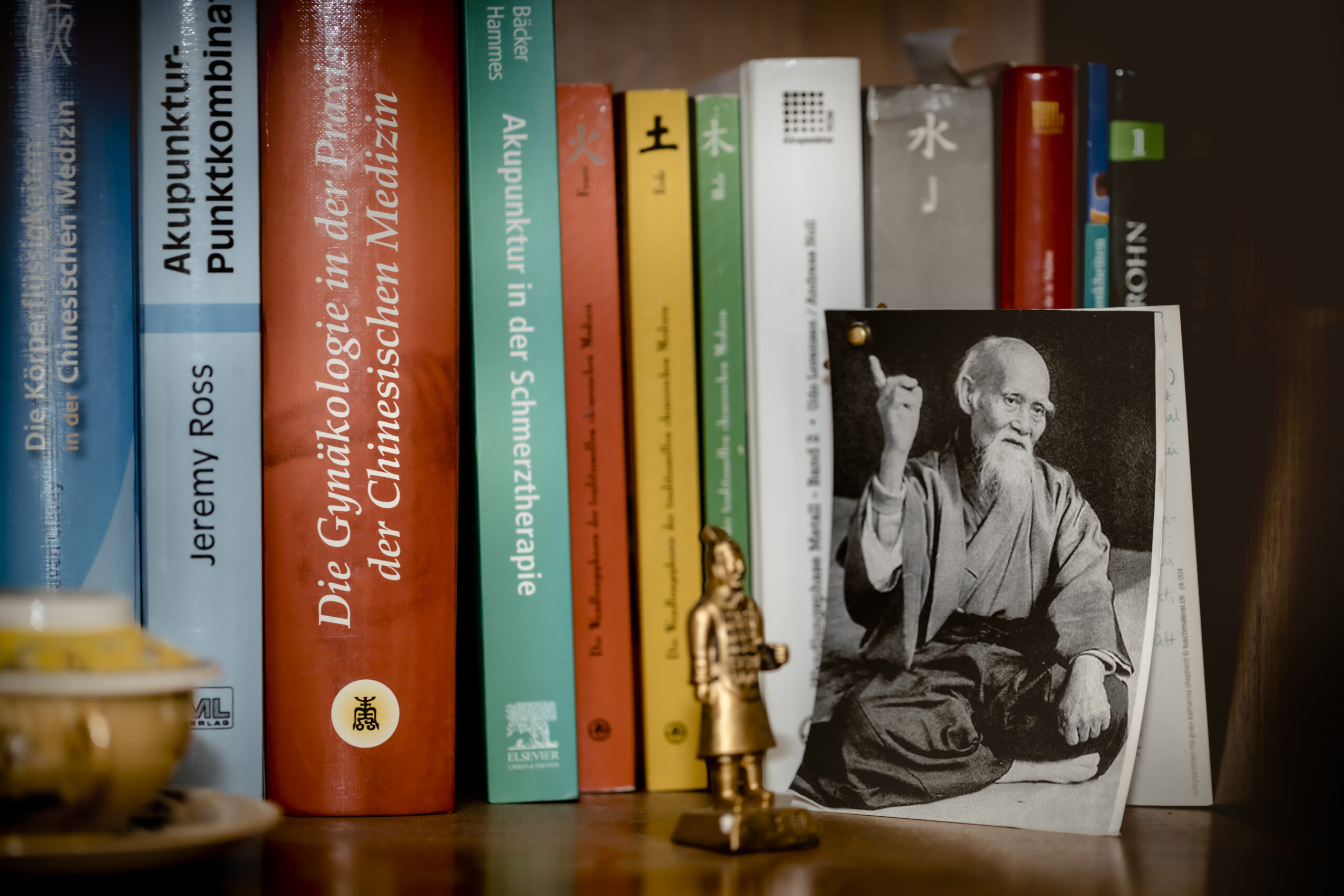 Traditionelle Chinesische Medizin – Fachliteratur und jahrtausendealte Diagnostik